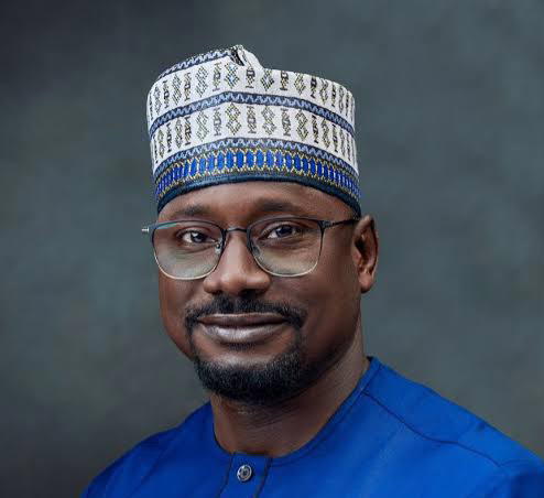 Nigeria’s electricity access programme only rivaled by India globally – REA MD