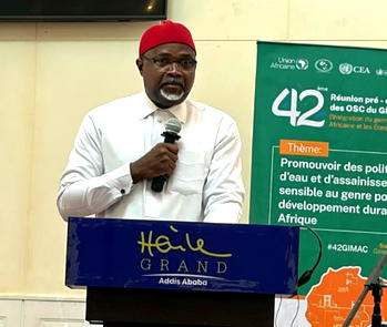 Nigerian schools’ sanitation gap undermining girls’ dignity, education – Prof. Emelonye