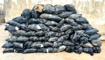 NDLEA seizes 64 bags of suspected cannabis, arrests driver in Kano