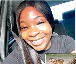 If wishes were horses, snakes would be extinct