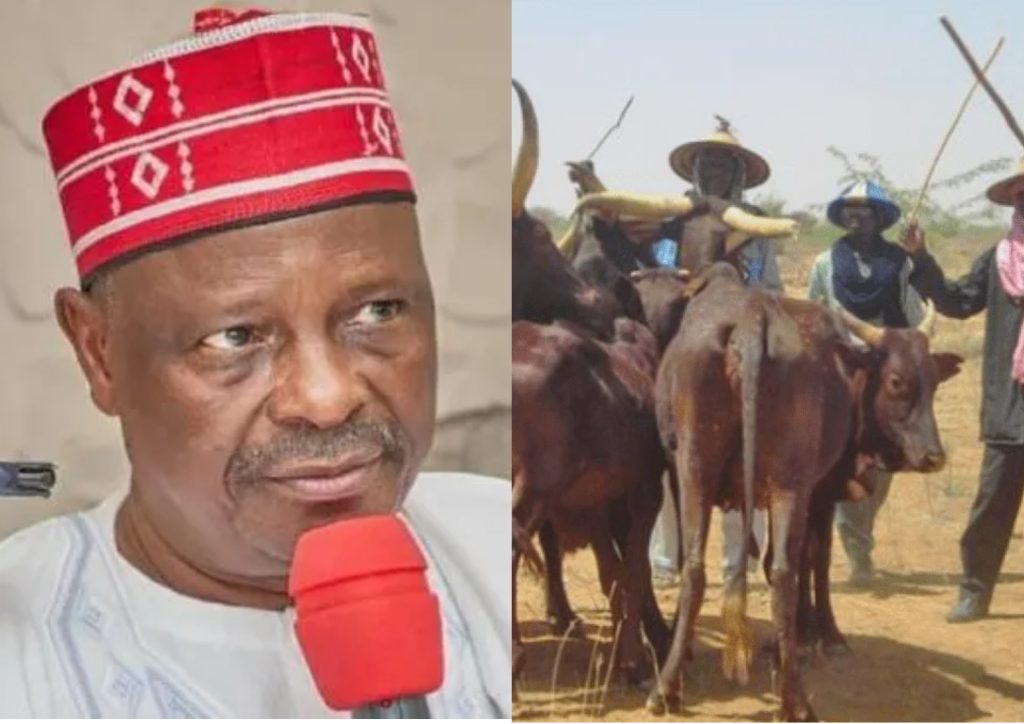 Nigerian newspapers review: US Reps propose visa ban on Kwankwaso, Miyetti Allah, others