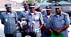 Customs seizes N52.6m contrabands, rescues endangered pangolins in Bauchi