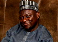 Sallau: When competence meets ambassadorial nomination