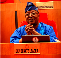 Insecurity: Senate Deputy leader tasks governments on border control