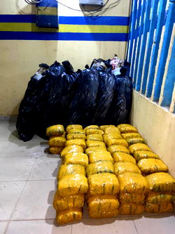 Police bust drug stockpiling syndicate in Ibadan