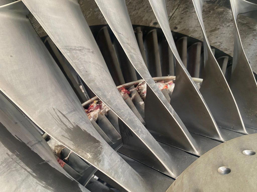 Second bird strike in one day disrupts United Nigeria operations