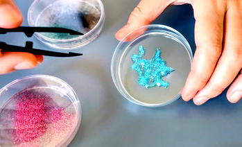 Microplastics found in 90% of prostate cancer tumours – Study