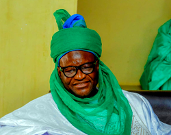 FG should reposition Nigeria as giant of Africa – Intl rights activist