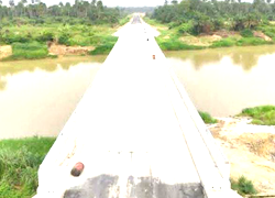 44 years after, newly completed bridge thrills Bayelsa communities