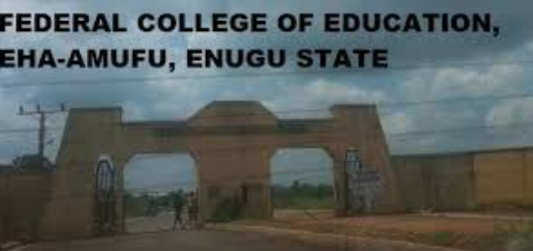 Staff groan over withheld salaries as bursar row grounds Federal College of Education Eha-Amufu