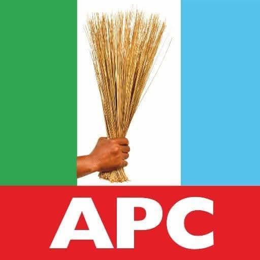 Coalition of APC Borno south youth groups, party leaders unite to deepen grassroots mobilisation