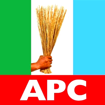 Coalition of APC Borno south youth groups, party leaders unite to deepen grassroots mobilisation