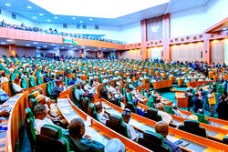 COVID-19 loans: House of Reps urges flexible repayment plan for Nigerians