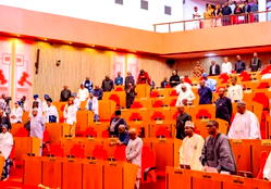 Senate makes U-turn, rescinds controversial rule barring first-term senators