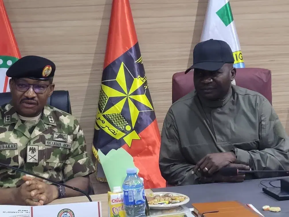 Insecurity: Defence Minister orders shoot-on-sight, deploys new strategies in North-east