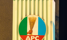 APC holds presidential primaries in 8,809 wards.
