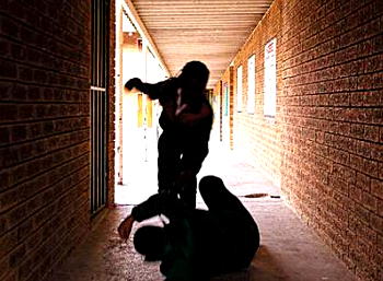 Bullying: Parents, schools have more work to do to stop it — Stakeholders