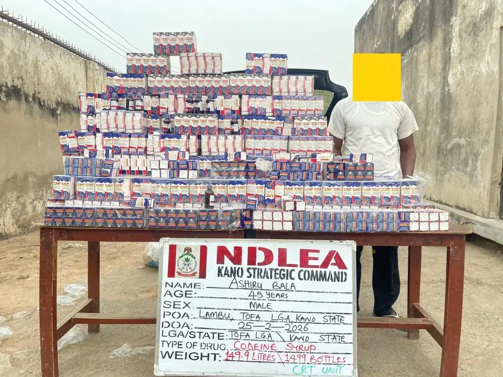 NDLEA seizes 1,499 bottles of codeine syrup, arrests suspect in Kano 