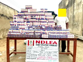 NDLEA seizes 1,499 bottles of codeine syrup, arrests suspect in Kano 
