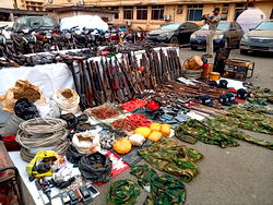 Enugu Police arrest 5,895 suspects, rescue 168 kidnap victims in one year – CP Giwa