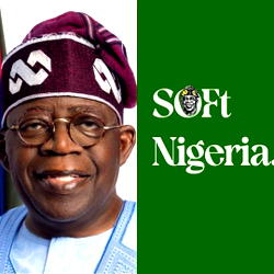Tinubu has brought progress, deserves to be re-elected,says Soft Nigeria