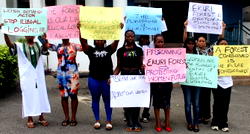 Ekuri women petition Cross River Assembly over logging impacts in Ekuri forest