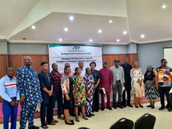 NEPC laments low solid minerals contribution to Nigeria’s export earnings