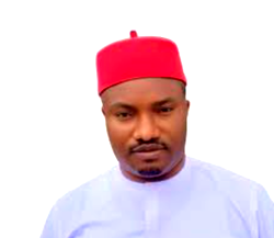 ADC ready to rescue Nigeria — Ogbodo declares