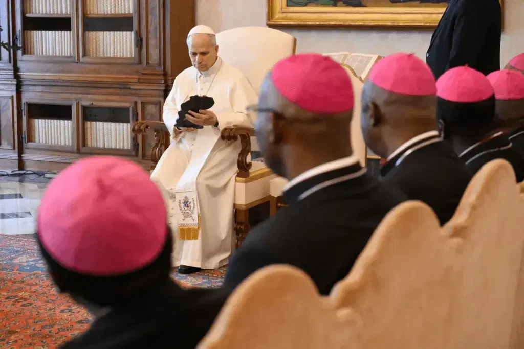 Video: Pope Leo meets second group of Nigerian bishops in Rome