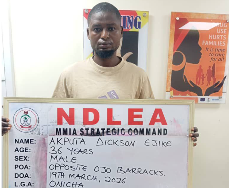 NDLEA foils shipment of cocaine consignment hidden in stock-fish heads