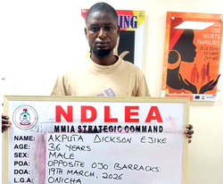 NDLEA foils shipment of cocaine consignment hidden in stock-fish heads