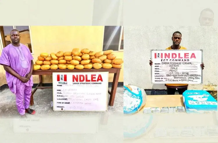 NDLEA arrests ex-Lagos councilor, recovers illicit drugs in baby diapers