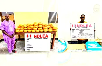 NDLEA arrests ex-Lagos councilor, recovers illicit drugs in baby diapers