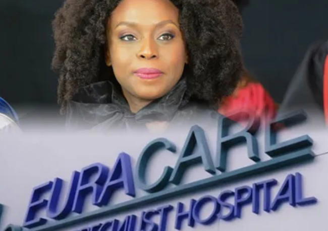 Medical Council suspends three doctors over Chimamanda Adichie’s son’s death