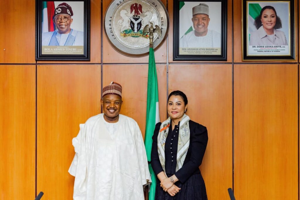 Budget ministry: Uzoka-Anite resumes, urges 95% private sector drive for $1trn economy