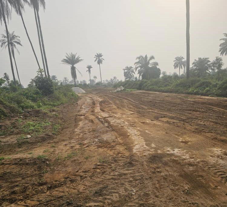 King Appolus Chu unveils new roads, displaces kidnappers, drives Eleme’s transformation
