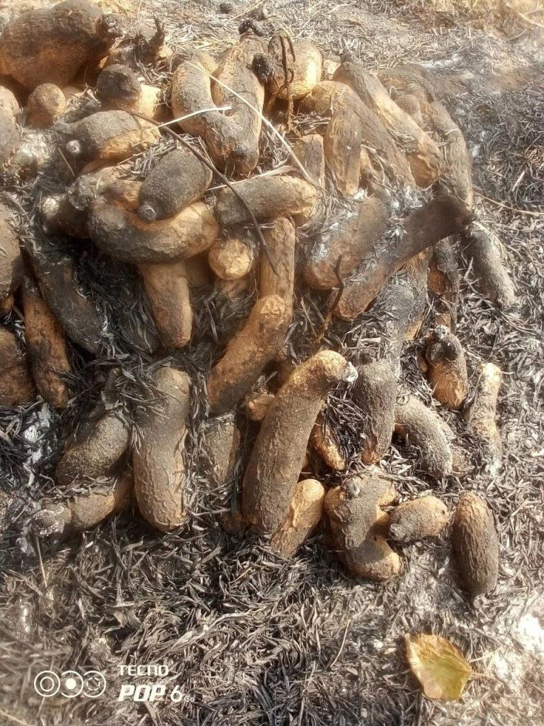 Anger as hunters set yam barns ablaze in Cross River