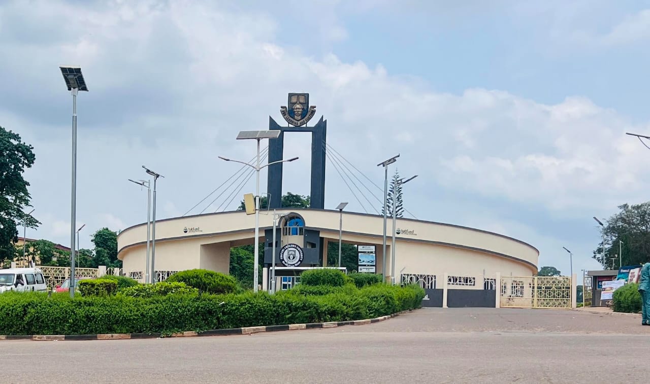 Nigerian Professionals in Egypt launch centre to boost agriculture and trade at OAU