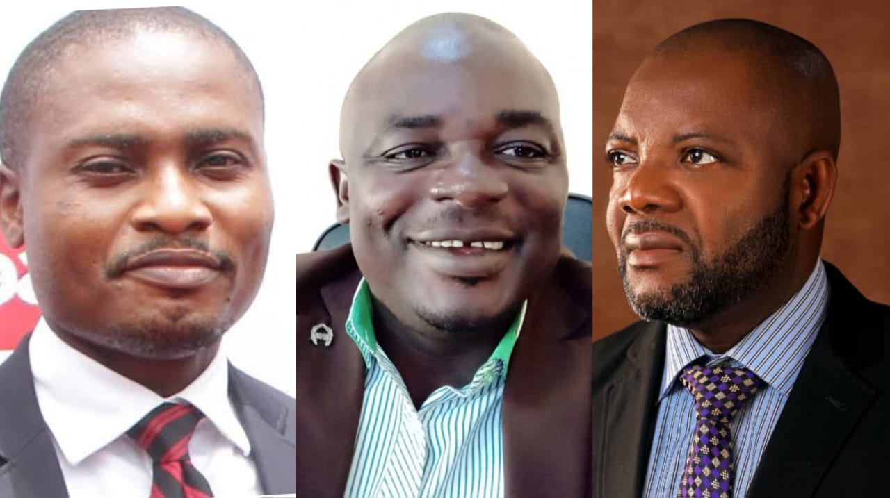 Varsity dons, PR expert write for The Nigerian Economy Newspaper as media platform aims top position