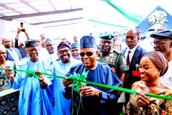 Power sector overhaul gains momentum as FG bets on NELMCO to restore confidence