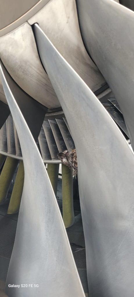 Jet blast, bird strike disrupt United Nigeria operations