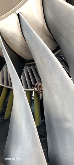 Jet blast, bird strike disrupt United Nigeria operations