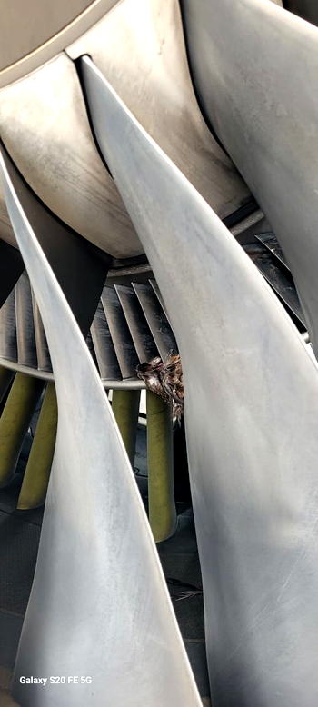 Jet blast, bird strike disrupt United Nigeria operations