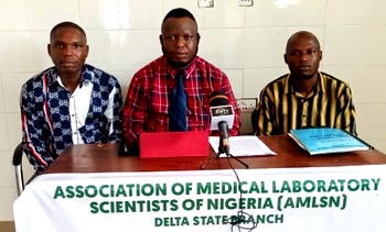 AMLSN urges Delta to establish directorate in Ministry of Health