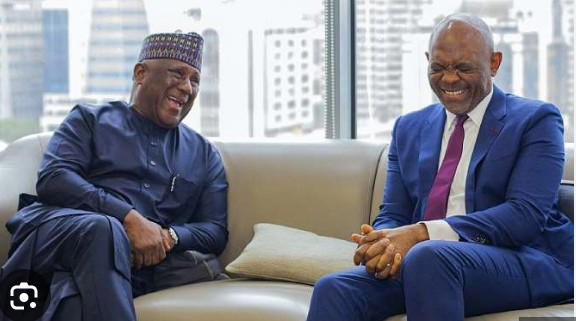 Rabiu, Elumelu strengthen partnership as BUA Foods hits N1.77tn revenue