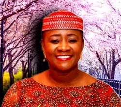 2027: Philanthropist, Nwoga-Ecton to contest for Owerri Senate seat