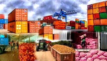 APMT Apapa, key driver of Nigeria’s export trade — Kapito