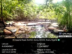 Navy dismantles illegal refinery in Rivers, recovers stolen crude