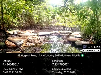 Navy dismantles illegal refinery in Rivers, recovers stolen crude