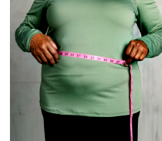 1 in 5 Nigerians overweight as WELFAS launches AI wellness app